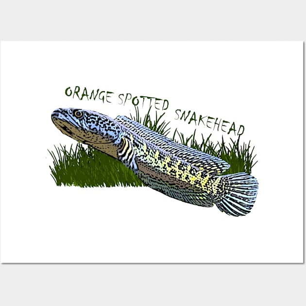 Snakehead Fish Wall Art by snakehead.art